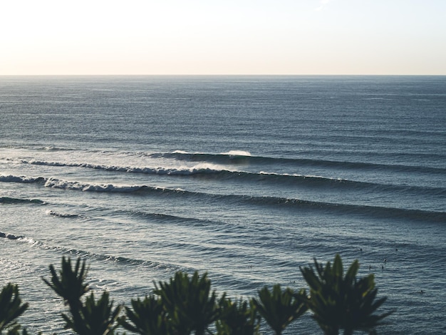 Vagues se brisant sur la côte nord de Tenerife