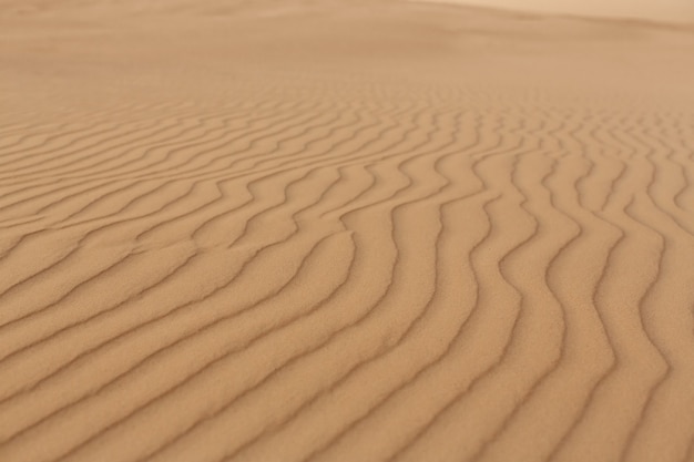 Vagues de texture de sable. Dunes du désert. Belles structures de barkhans sableux.