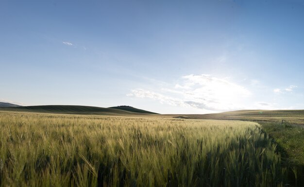 Val D'Orcia, Toscane