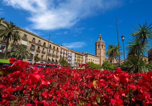 Photo valence plaza de la reina miguelete