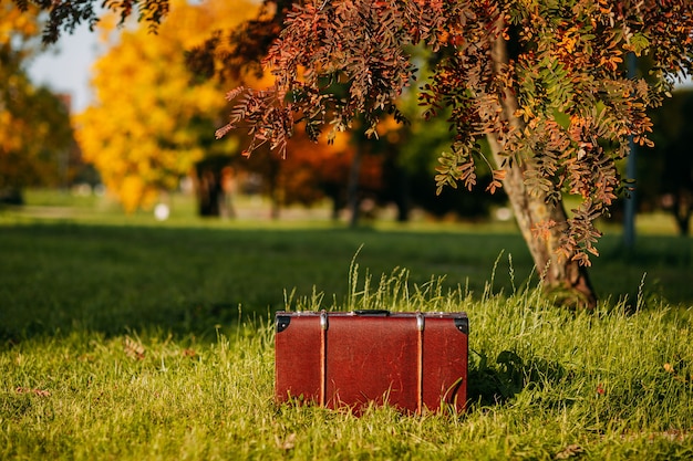 Valise en cuir sous le sapin