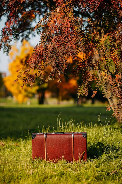 Valise en cuir sous le sapin