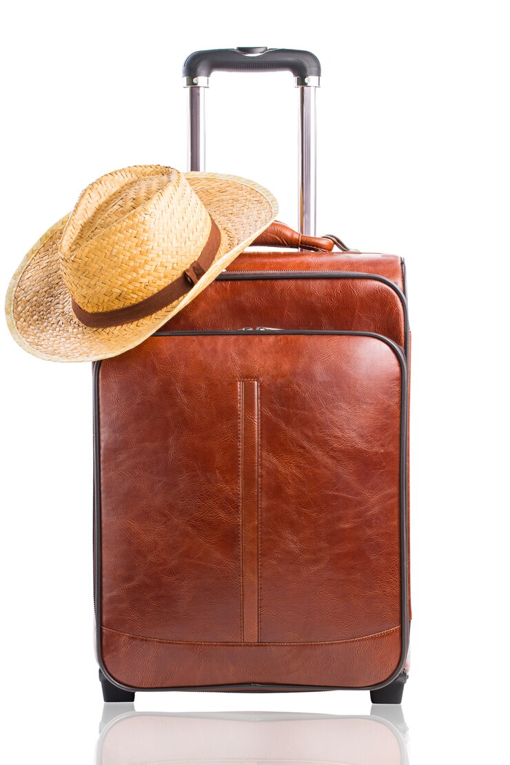 Photo valise en cuir