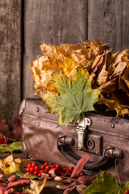 Valise rétro avec des feuilles d&#39;automne sur bois