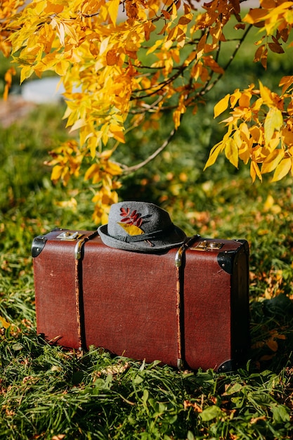 Valise vintage marron avec chapeau de feutre dessus en forêt d'automne