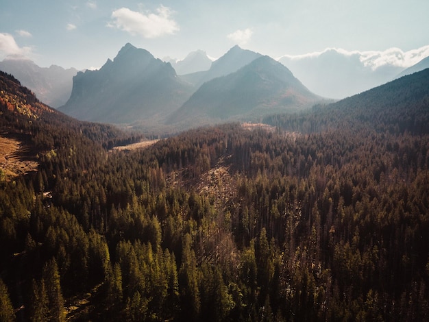 Vallée de Bielovodska dans les Hautes Tatras Slovaquie Slovaquie paysage de montagnes couleurs d'automne