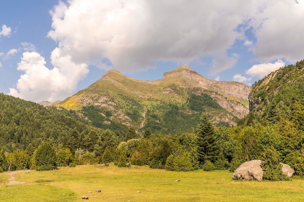 Vallée de Bujaruelo dans le parc national Ordesa y Monte Perdido