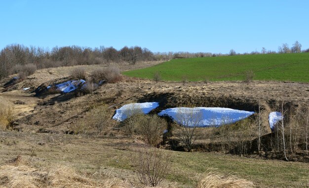 vallée avec champ vert et neige et arbres nus sur l'espace de copie d'horizon