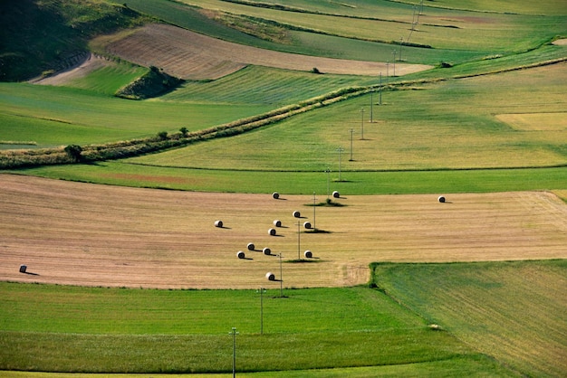 Vallée avec des champs agricoles verts en été