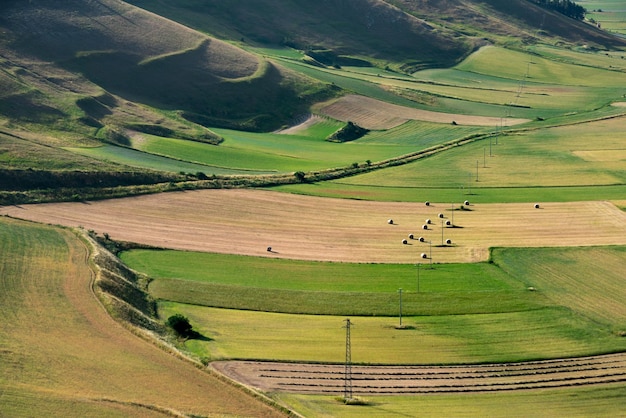 Vallée avec des champs agricoles verts en été