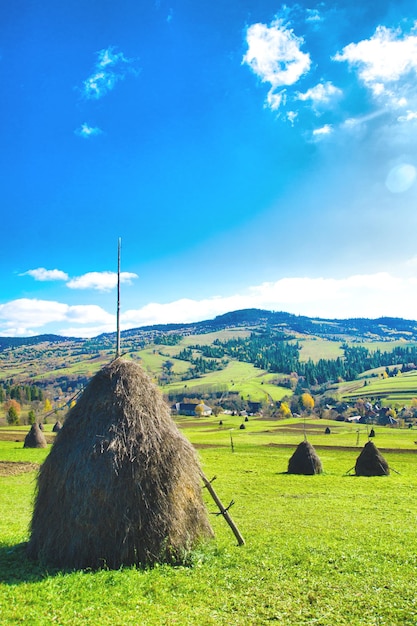 Vallée dans une montagne