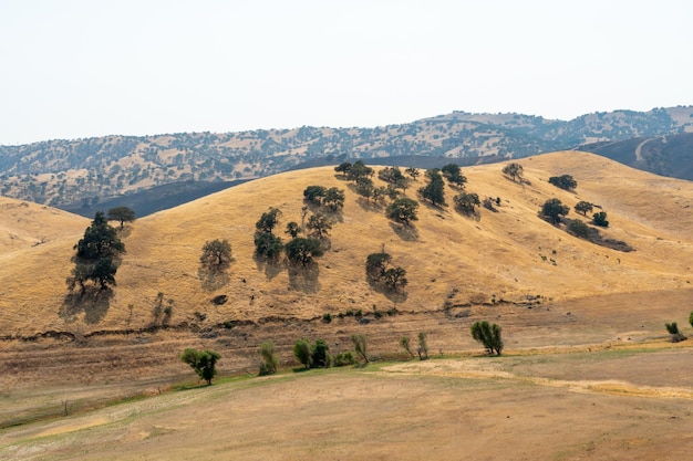 La vallée du réservoir de San Luis pendant la saison sèche et chaude San Luis Creek en Californie