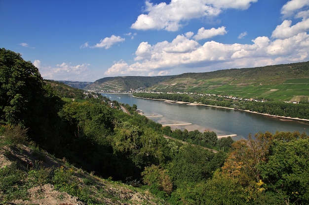 Vallée du Rhin en Allemagne de l'Ouest