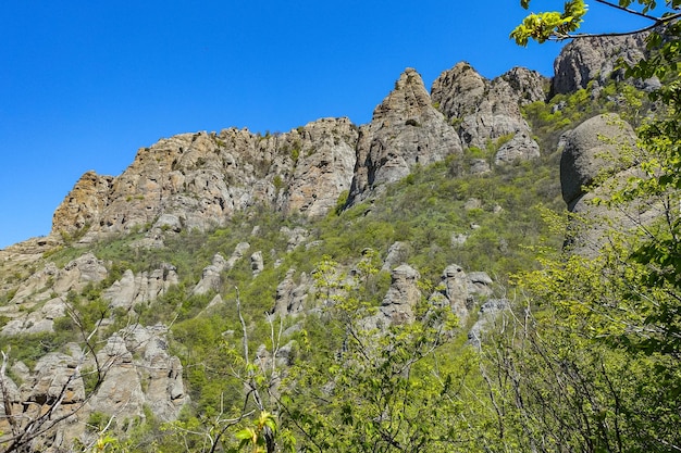 La vallée des fantômes. Demerji. Arbres verts et buissons au premier plan. Mai 2021. Crimée.