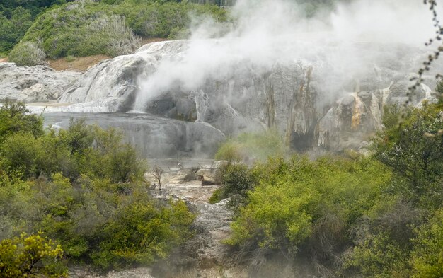 Photo la vallée géothermique de te puia