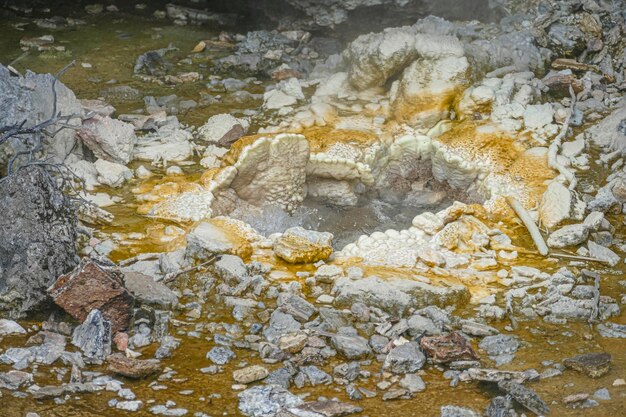 La vallée géothermique de Te Puia