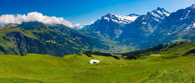 Photo vallée de grindelwald, suisse