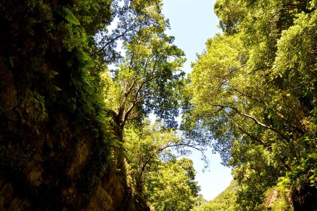 La vallée des îles Canaries