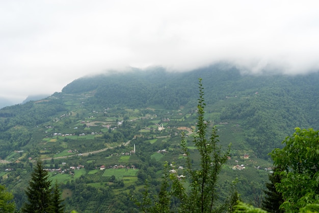 Vallée de Macahel dans l'est de la mer Noire Artvin Turquie