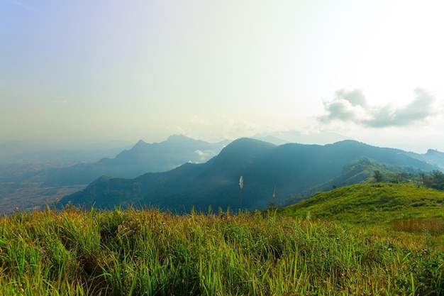 Vallée de montagne au lever du soleil Paysage d'été naturel