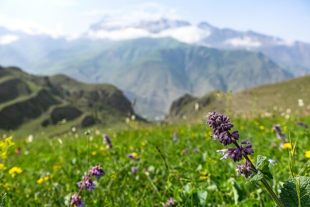 Une vallée de montagne dans la gorge de la rivière CherekBalkar à proximité du tractus Gymyhli Caucase 2021