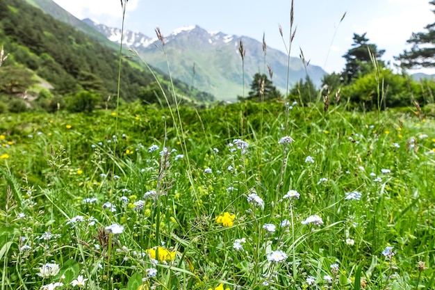 Une vallée de montagne dans la gorge de la rivière CherekBalkar à proximité de la région d'Ushtulu Caucase 2021