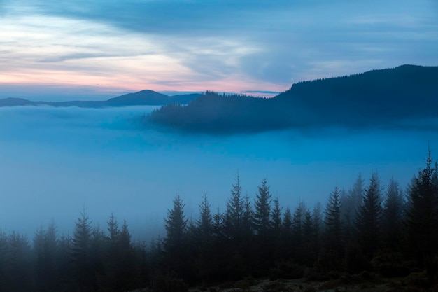 La vallée de montagne est couverte d'épais nuages brumeux le matin dans les Carpates