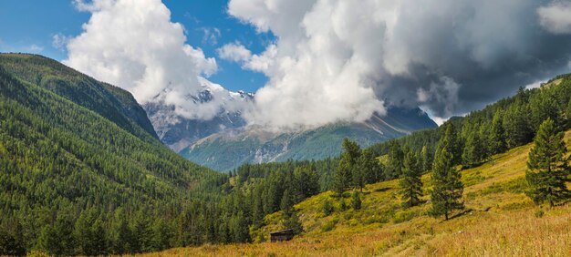 Vallée de la montagne un jour d'été