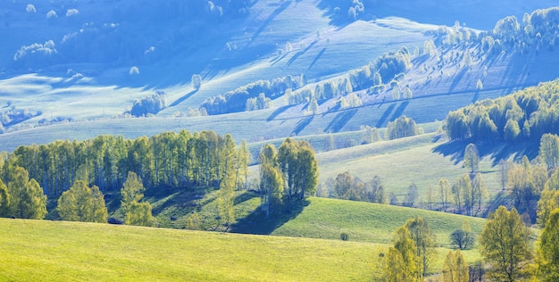 Vallée de montagne un matin de printemps, forêts verdoyantes et prairies