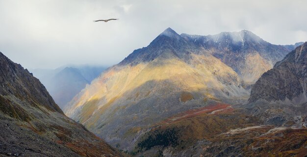 Vallée de montagne mystique. Affiche d'automne des montagnes de l'Altaï. Scène d'automne ensoleillée de la vallée de la montagne. Photographie de paysage. Beau paysage d'automne.