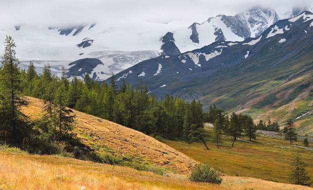 Vallée de la montagne par une matinée sombre