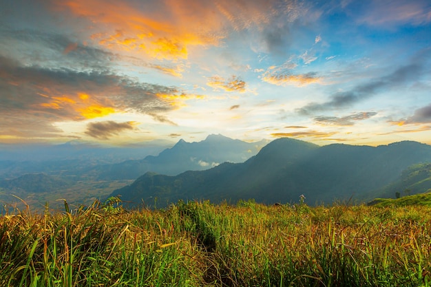 Vallée de montagne pendant le lever du soleil Paysage d'été naturel