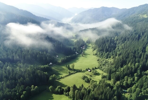 Vallée de montagne verte avec des arbres générés par ai