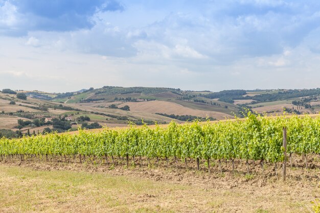 Vallée d'Orcia, Italie. Wideyard toscan pendant la saison printanière.