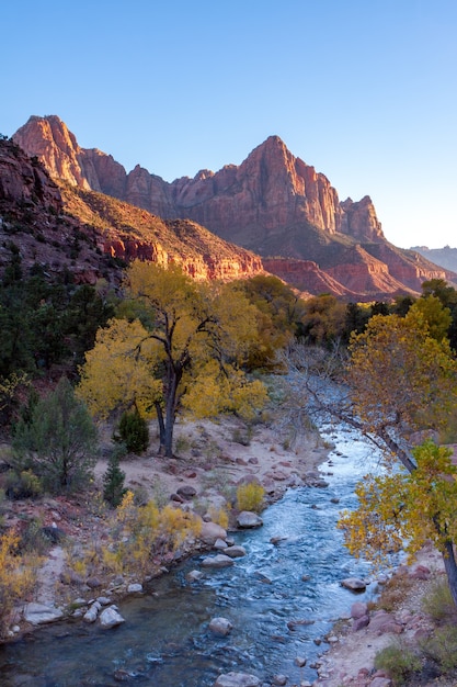 Vallée de la rivière Virgin et montagnes ensoleillées dans le parc national de Zion