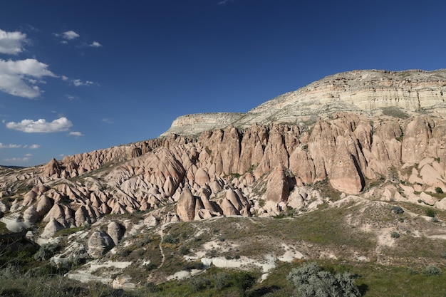 Vallée des roses dans le village de Cavusin en Cappadoce