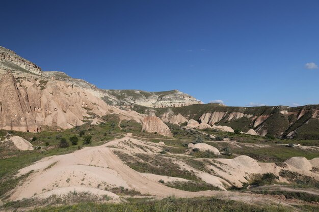 Vallée des roses dans le village de Cavusin en Cappadoce