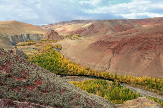 Photo vallée rouge près de kokorya village kosh-agachsky district dans la république de l'altaï en russie