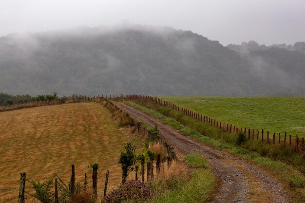 Vallée sous la brume le matin Incroyable paysage naturel le long du Chemin du Puy