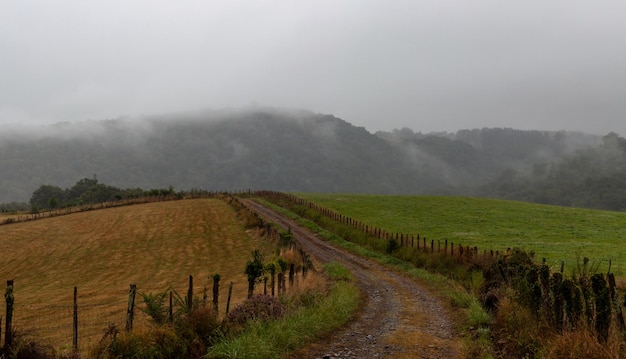 Vallée sous la brume le matin Incroyable paysage naturel le long du Chemin du Puy