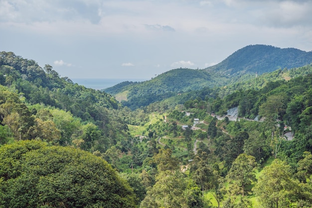 Vallée verte avec les collines et la mer bleues