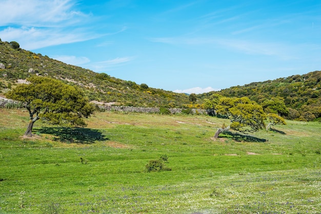 Vallée verte sous un ciel bleu en Sardaigne Italie