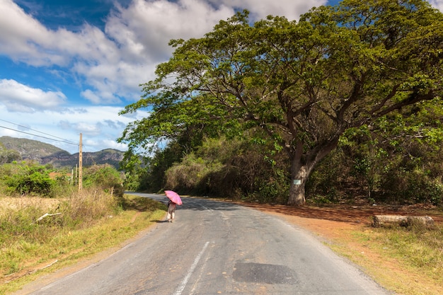 Vallée de Vinales