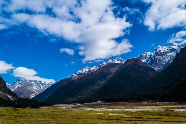 Vallée de Yumthang au mois de mars