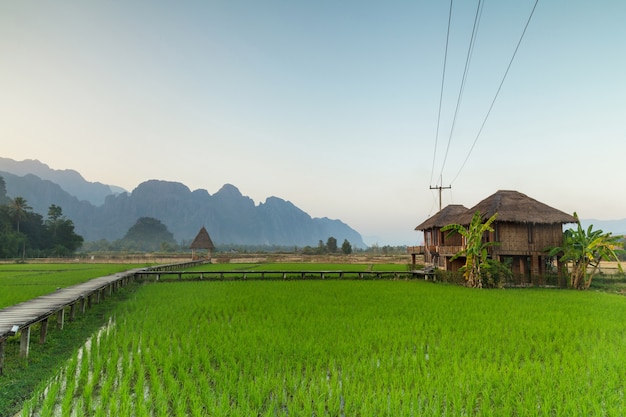 Vang Vieng, Laos