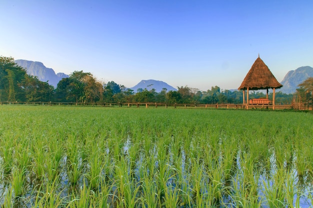 Vang Vieng Resort, Laos