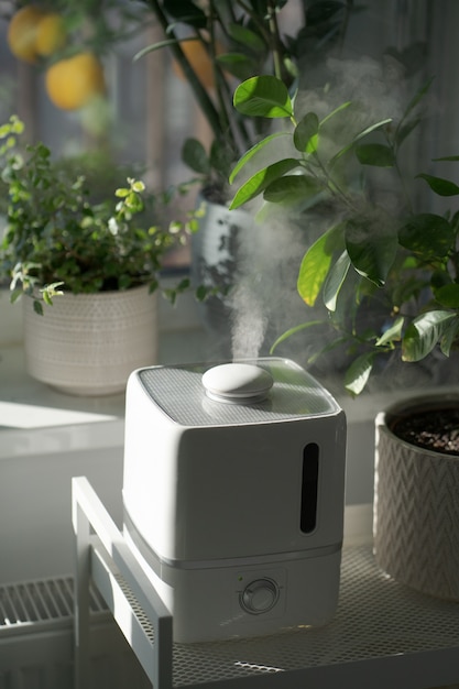 La vapeur de l'humidificateur humidifie l'air sec entouré de plantes d'intérieur d'intérieur soins des plantes de jardin