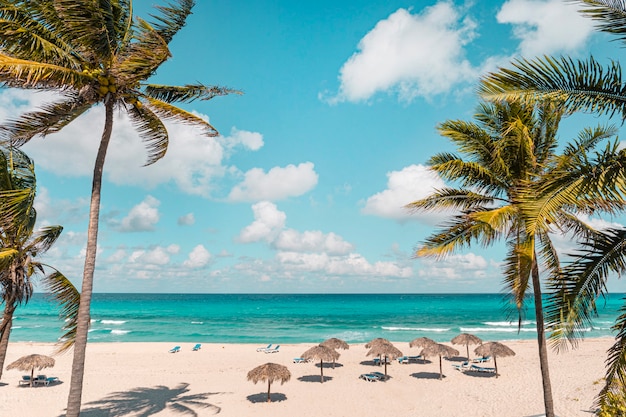 Varadero par une journée ensoleillée. Belles vacances. Belle plage avec transats, parasols en chaume et palmiers. plage de luxe dans le contexte de la beauté de la mer avec des récifs coralliens. style rétro