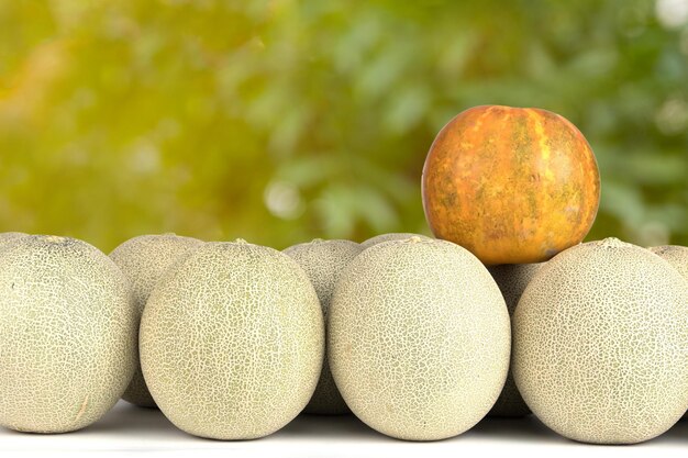 Variété asiatique de cantaloup et de melons avec fond