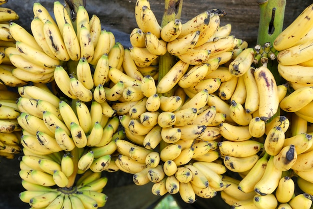 Variété de banane